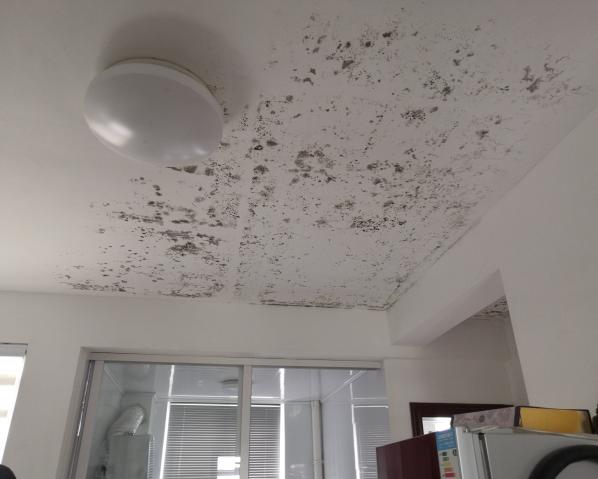 深化黨建推動(dòng)引領(lǐng)，提升租戶居住幸福指數(shù)