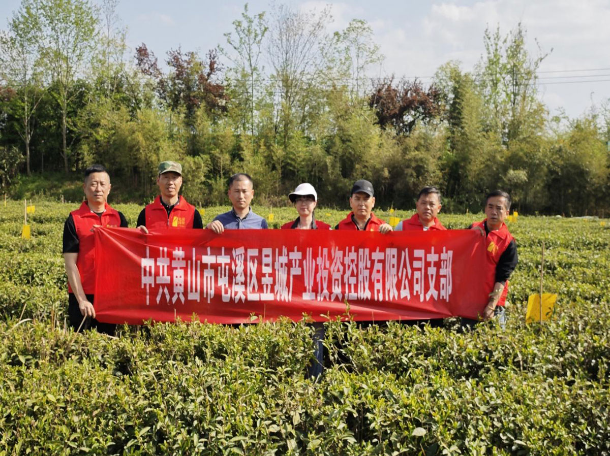 昱城產(chǎn)投公司黨支部開(kāi)展“茶香潤(rùn)初心，黨旗映茶園”主題黨日活動(dòng)