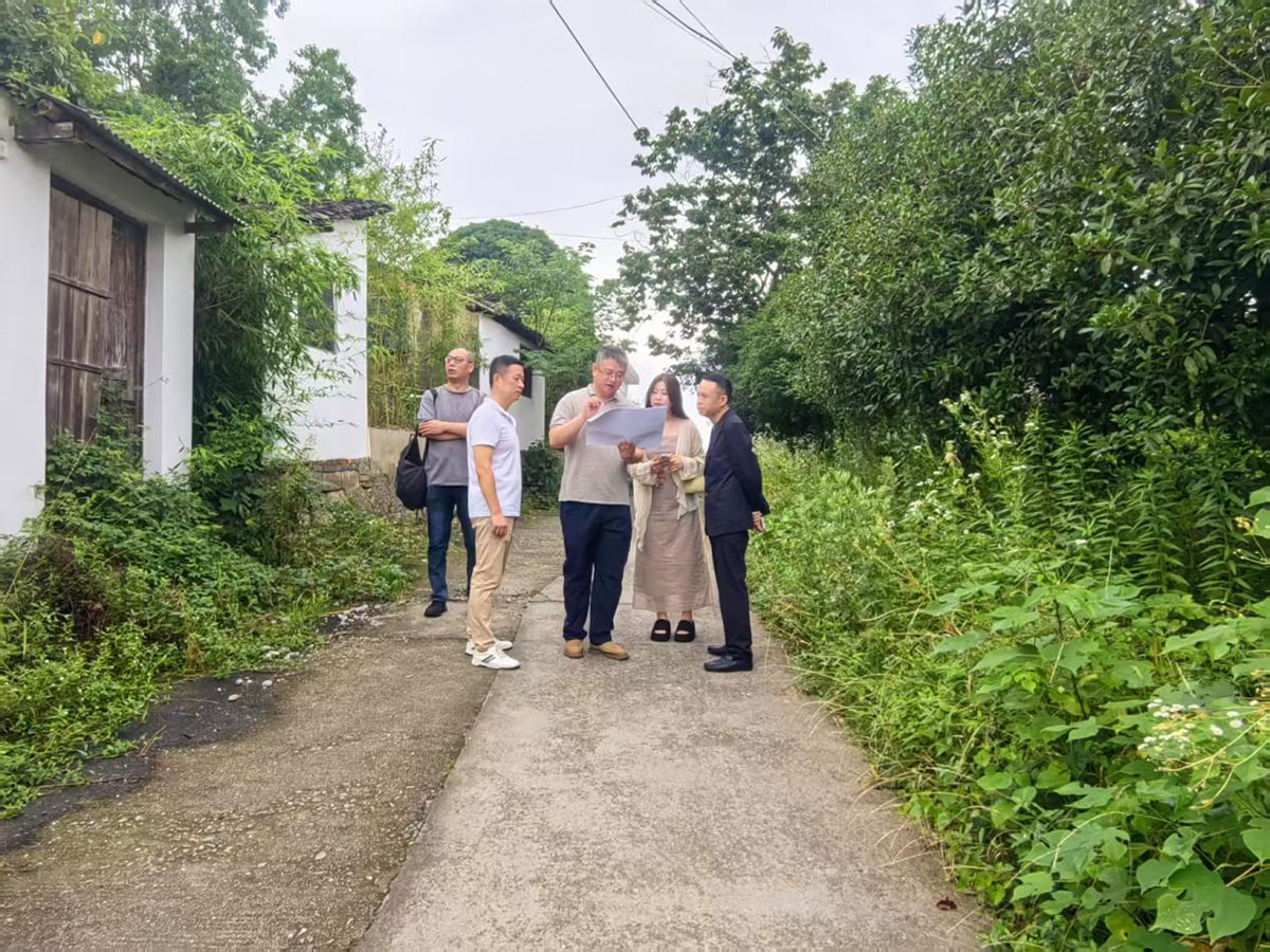 江蘇外聯采考察團到實驗茶場考察，共商茶產業(yè)合作新藍圖