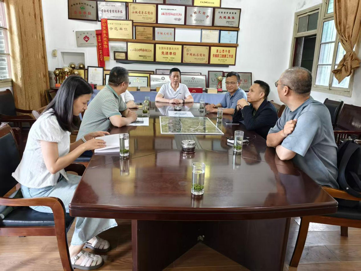 江蘇外聯采考察團到實驗茶場考察，共商茶產業(yè)合作新藍圖