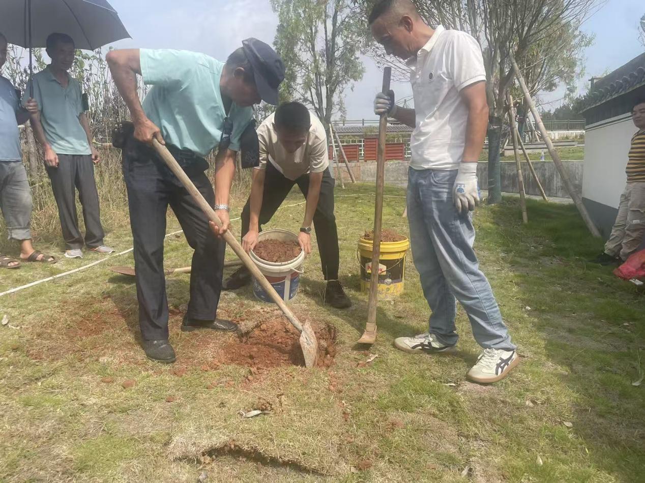 生態(tài)安葬樹(shù)新風(fēng) 鋪青疊翠映文明