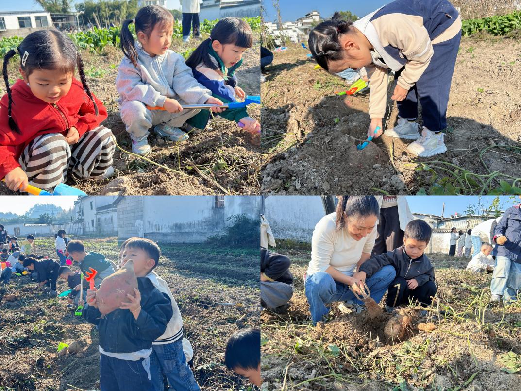 以“童”為橋促振興     農耕體驗樂翻天