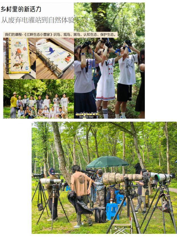 8000萬熱度炸屏！屯溪“護(hù)村小祖宗”聯(lián)動短劇頂級頭部平臺帶火綬帶鳥，短劇+文旅解鎖鄉(xiāng)村振興新密碼