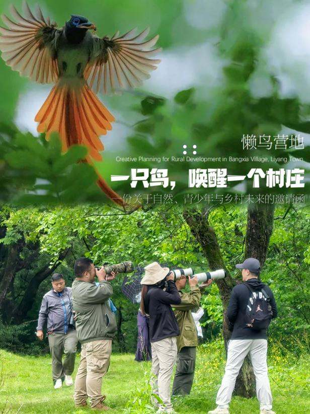 8000萬(wàn)熱度炸屏！屯溪“護(hù)村小祖宗”聯(lián)動(dòng)短劇頂級(jí)頭部平臺(tái)帶火綬帶鳥(niǎo)，短劇+文